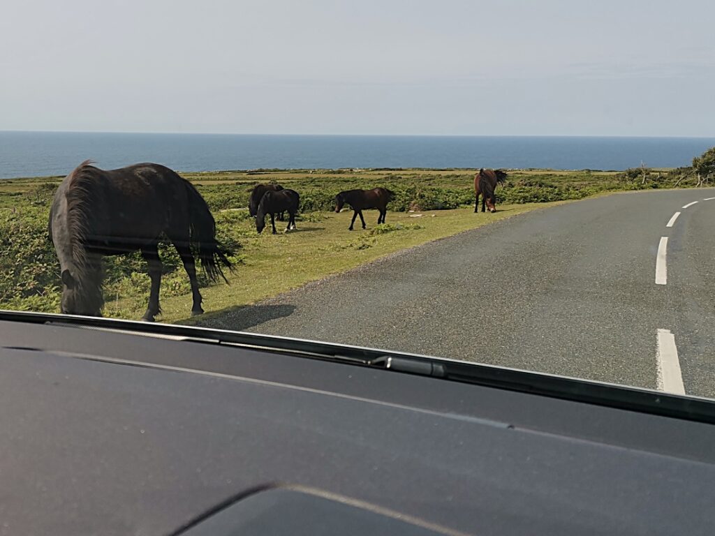 Autofahren im Linksverkehr in Cornwall