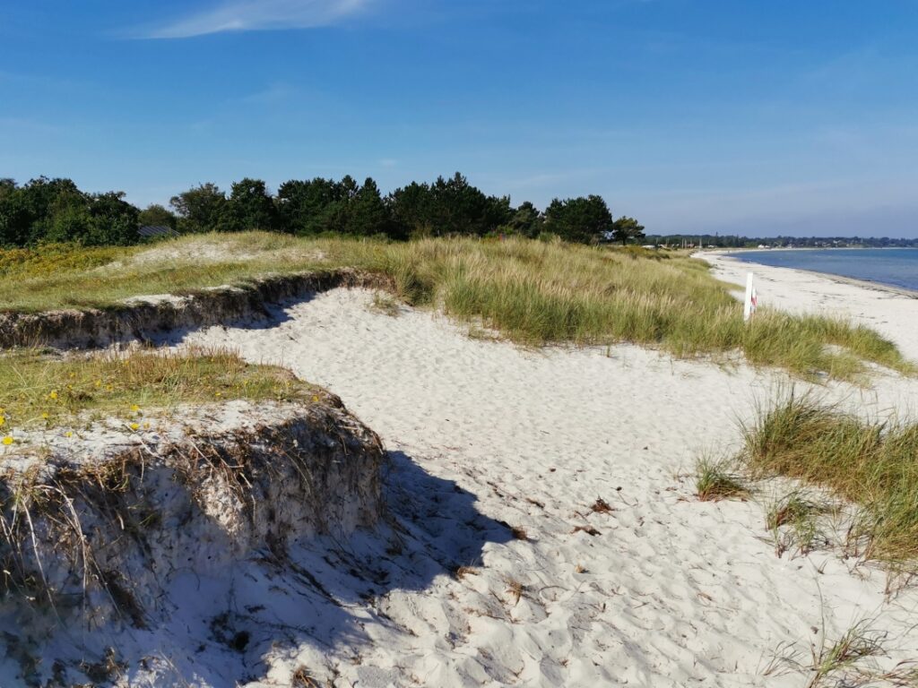 Ferienhaus in Dänemark mieten