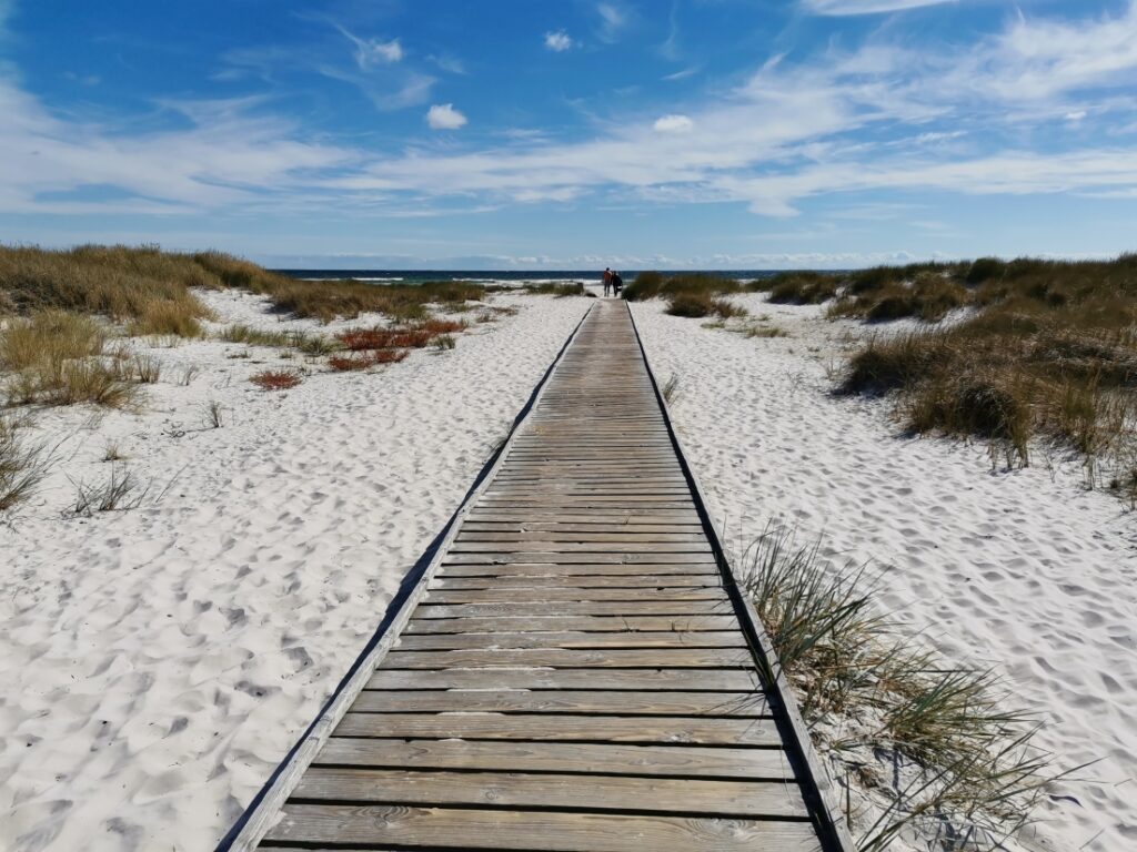 Ferienhaus in Dänemark mieten