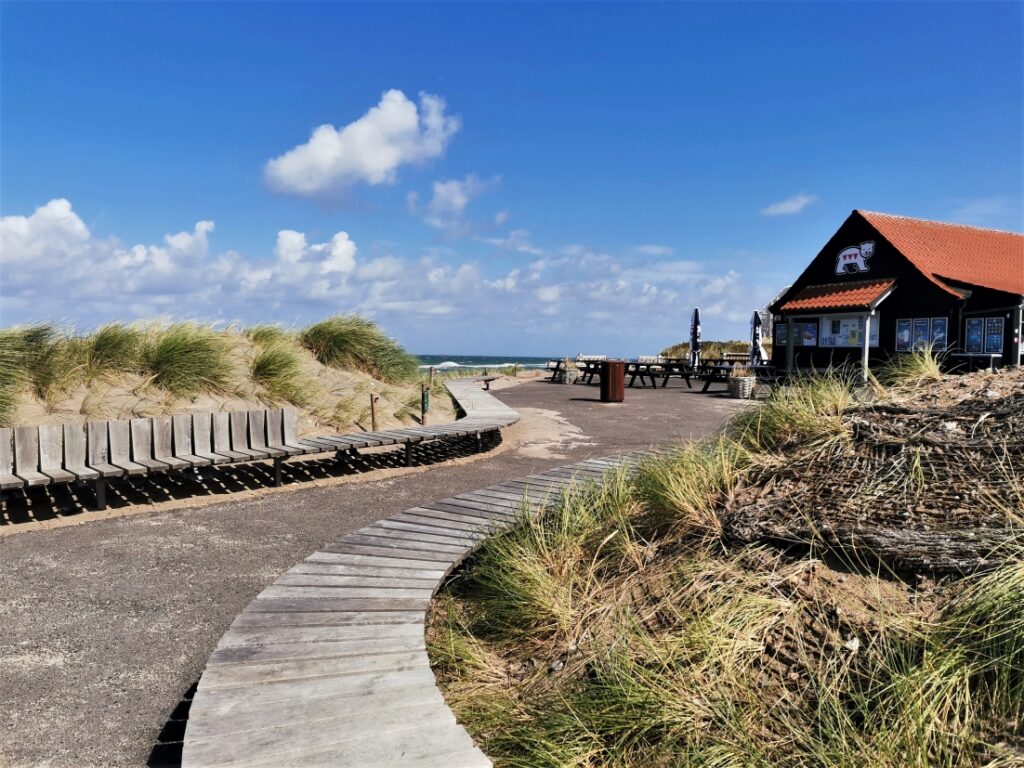 Ferienhaus in Dänemark mieten