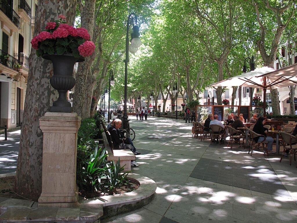 Städtetrip Palma de Mallorca