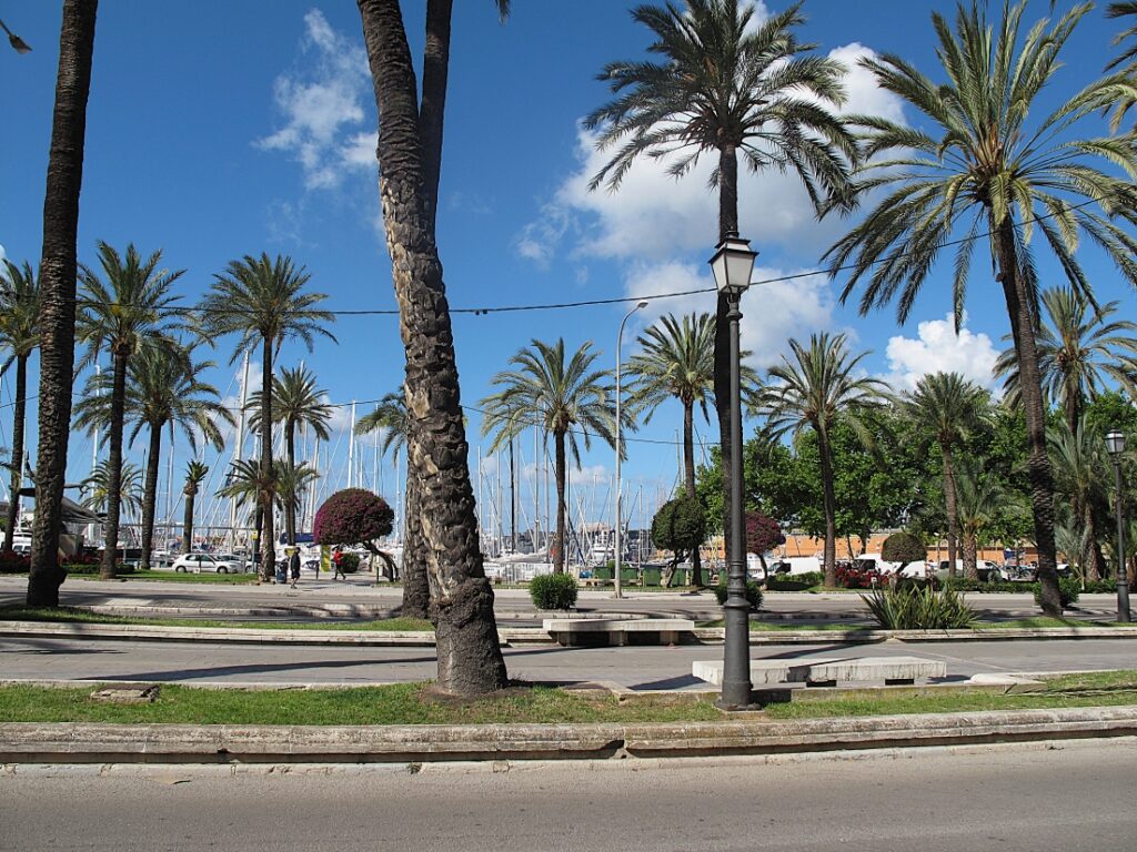 Städtetrip Palma de Mallorca