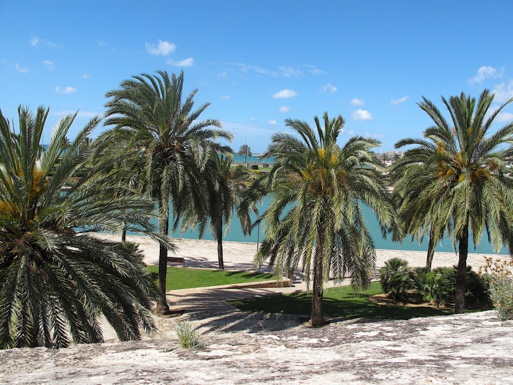 Städtetrip Palma de Mallorca