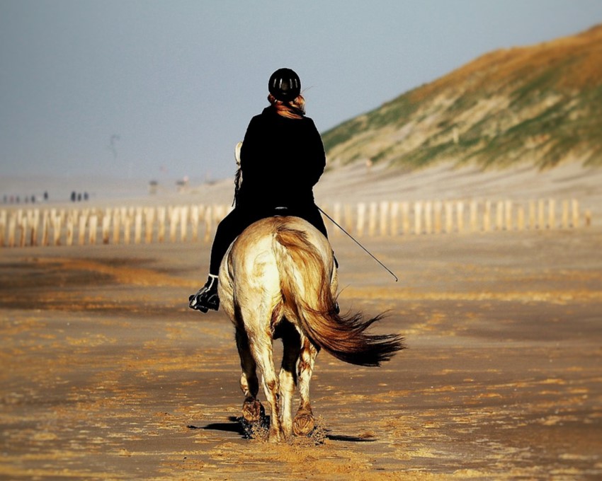 Sylt Sehenswürdigkeiten