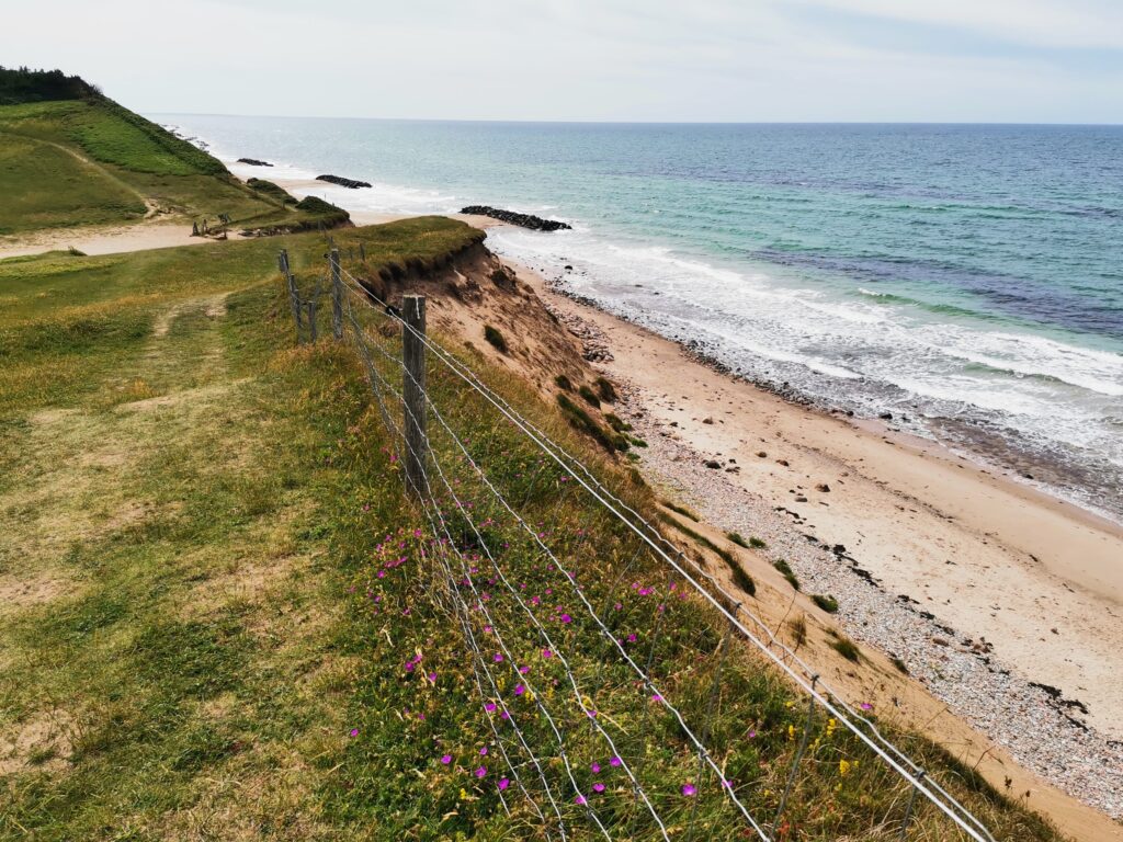 Wandern bei Heatherhill