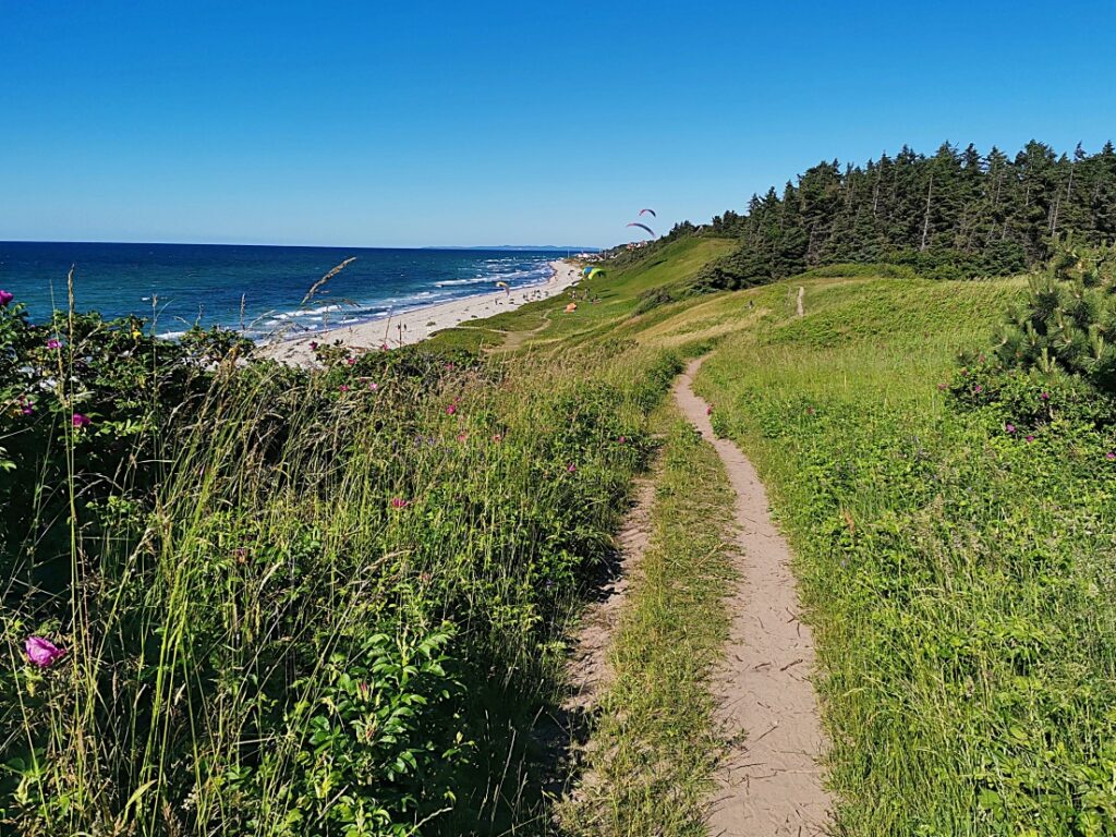 Wandern bei Heatherhill