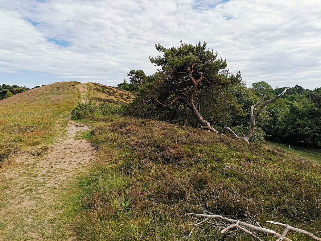 Wandern bei Heatherhill